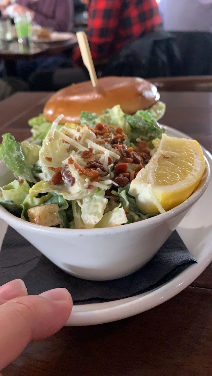 Bison Burger