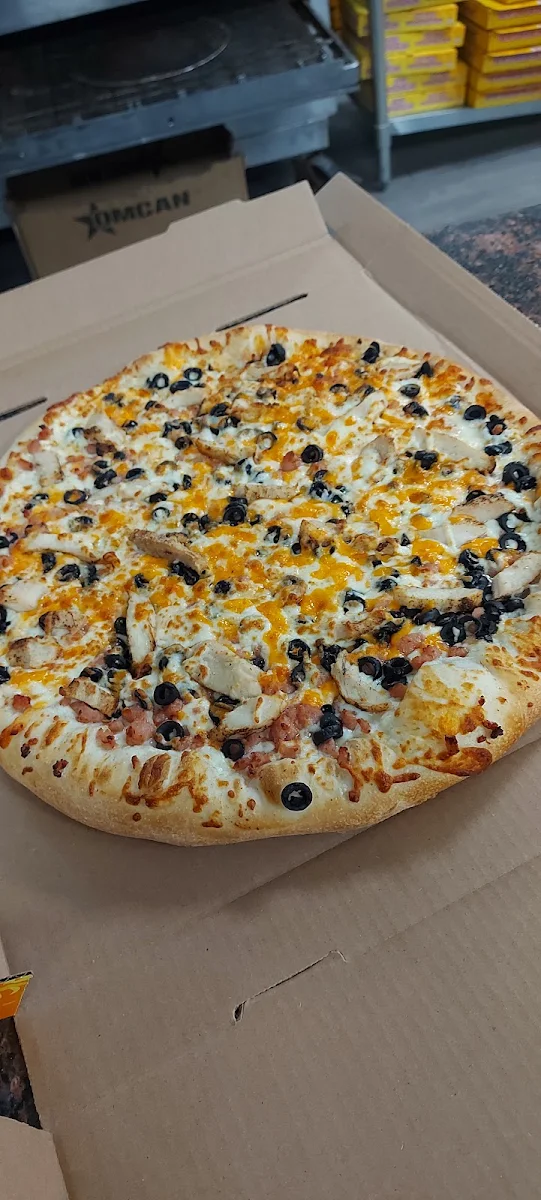 Mushroom & Chicken