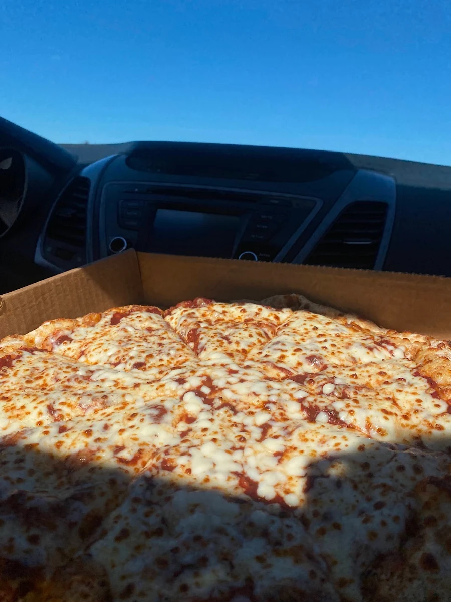 Tomato Sauce & Cheese Pizza