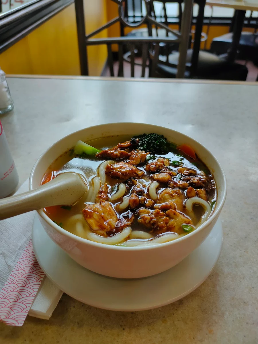 Udon Noodle Soup