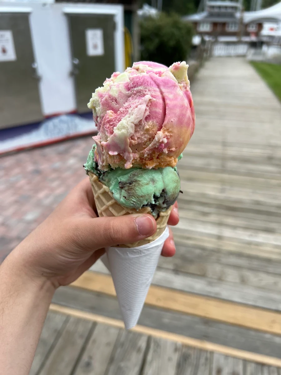 Rainbow Sorbet & Mint Moose Tracks
