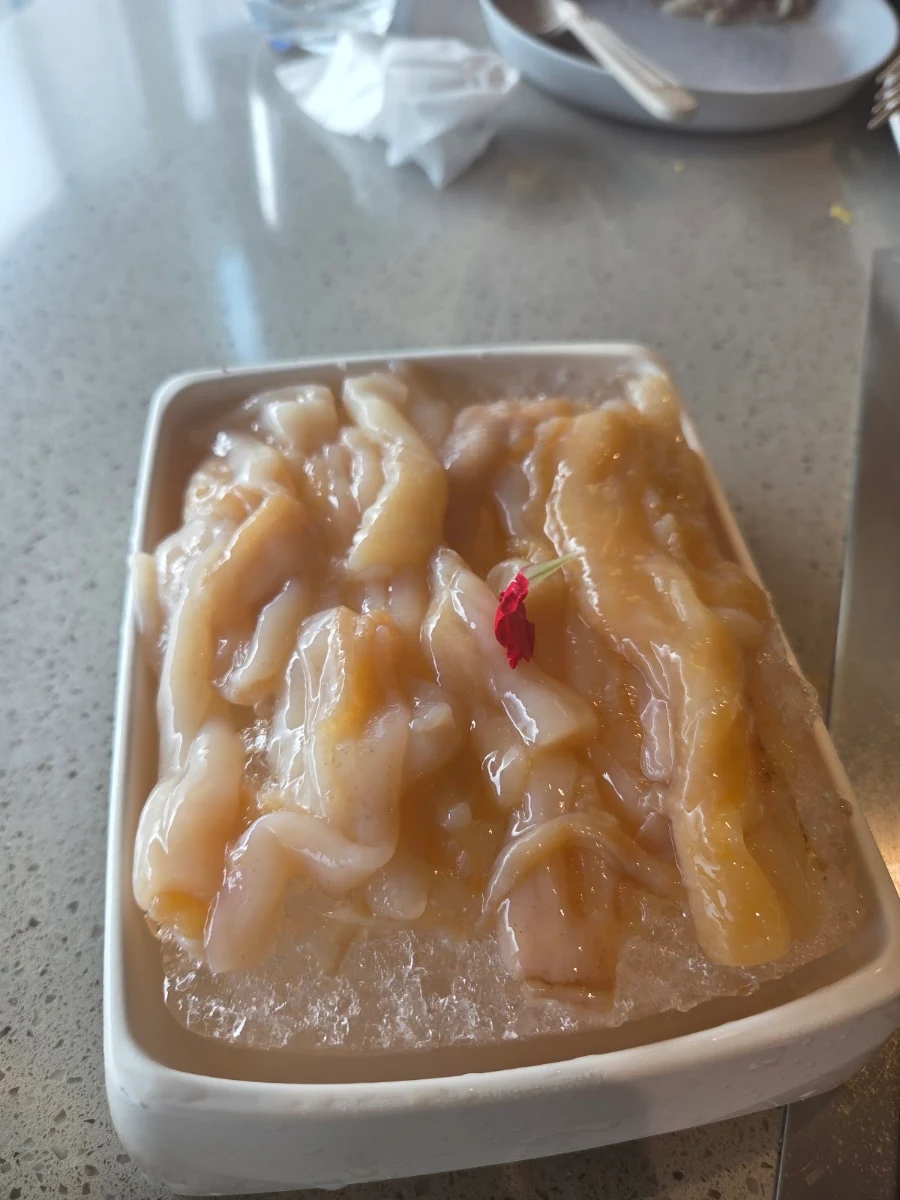 Beef Tendon