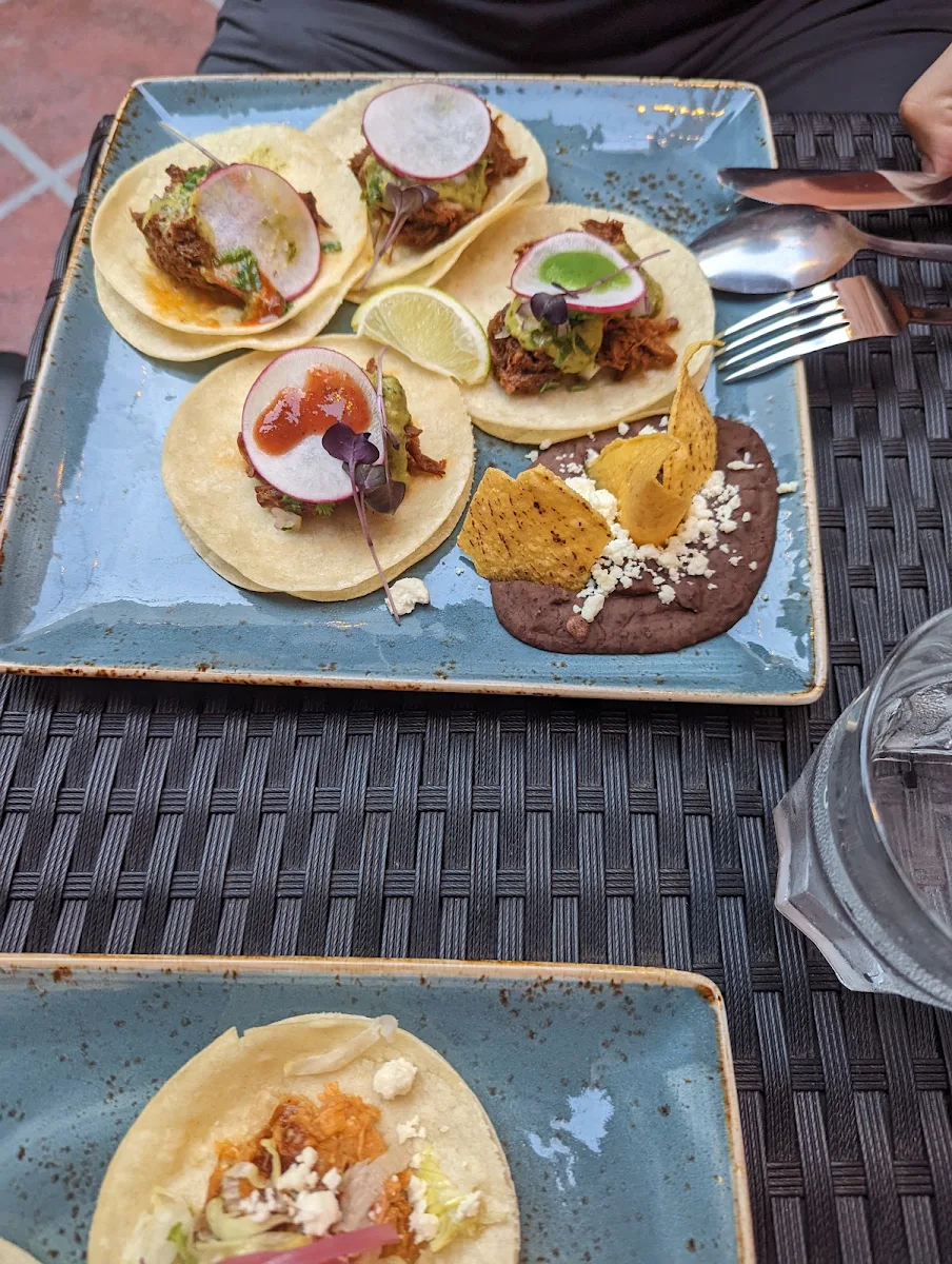 Chicken Tacos
