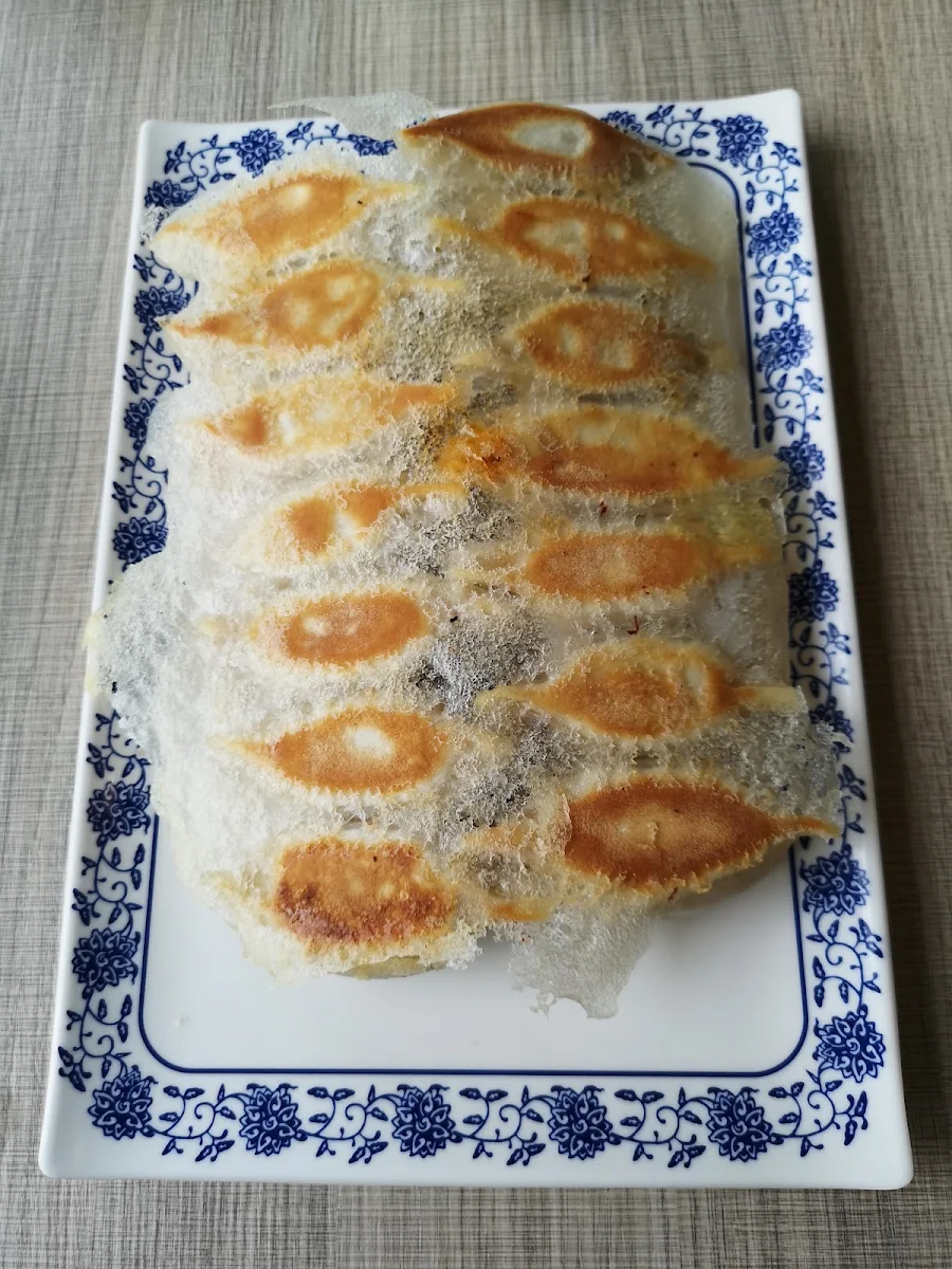 Pan Fried Mixed Dumplings