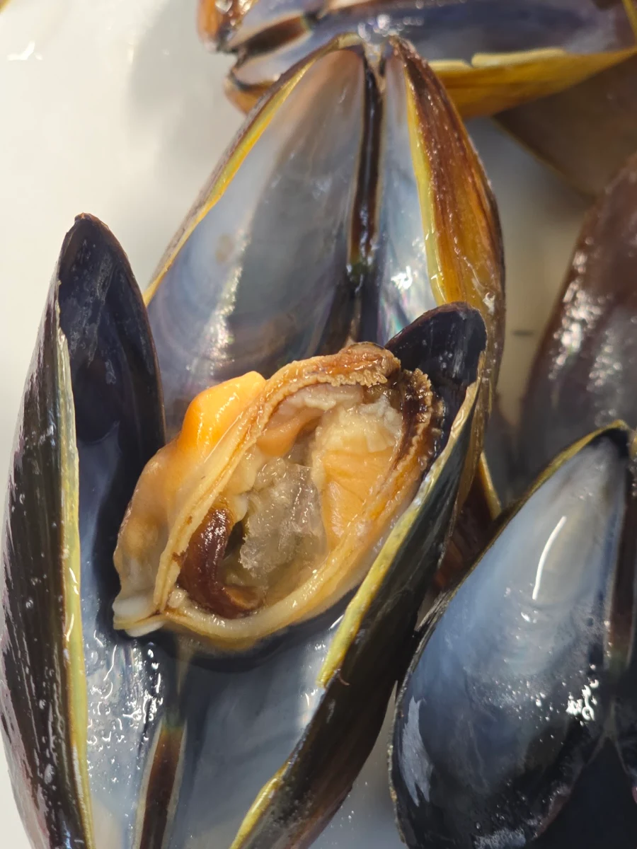 Steamed Mussels