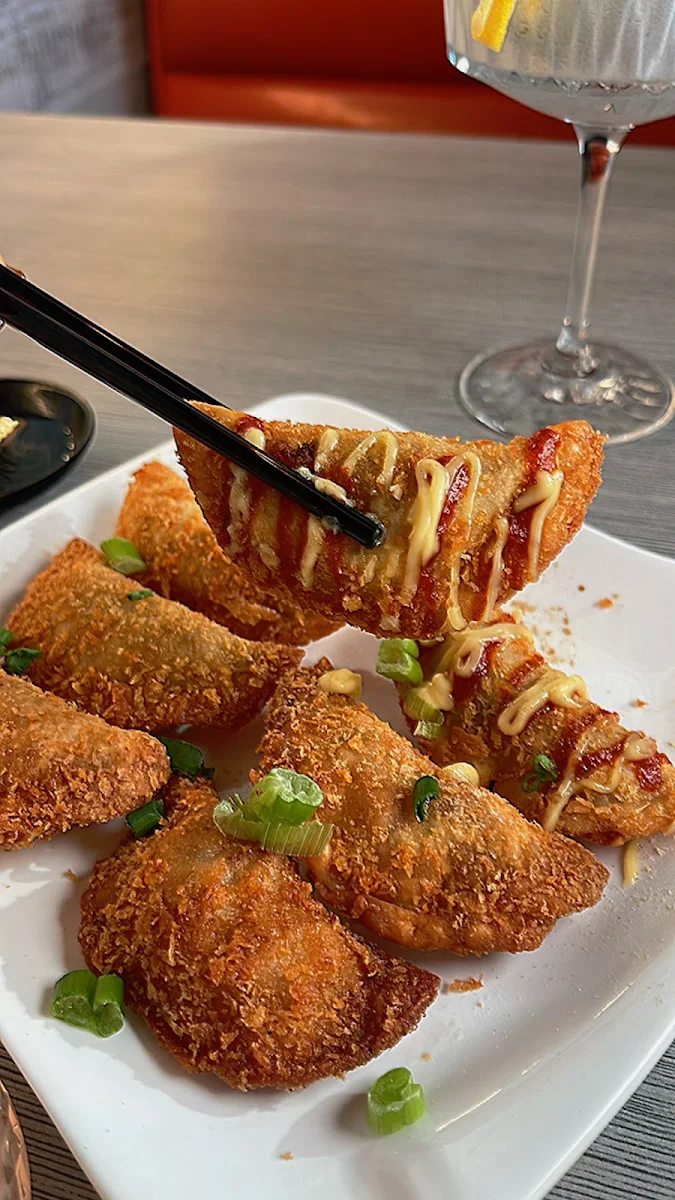 Gyoza Combo