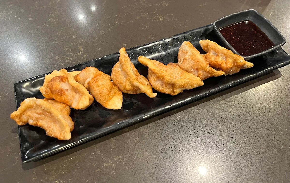 Fried Dumplings