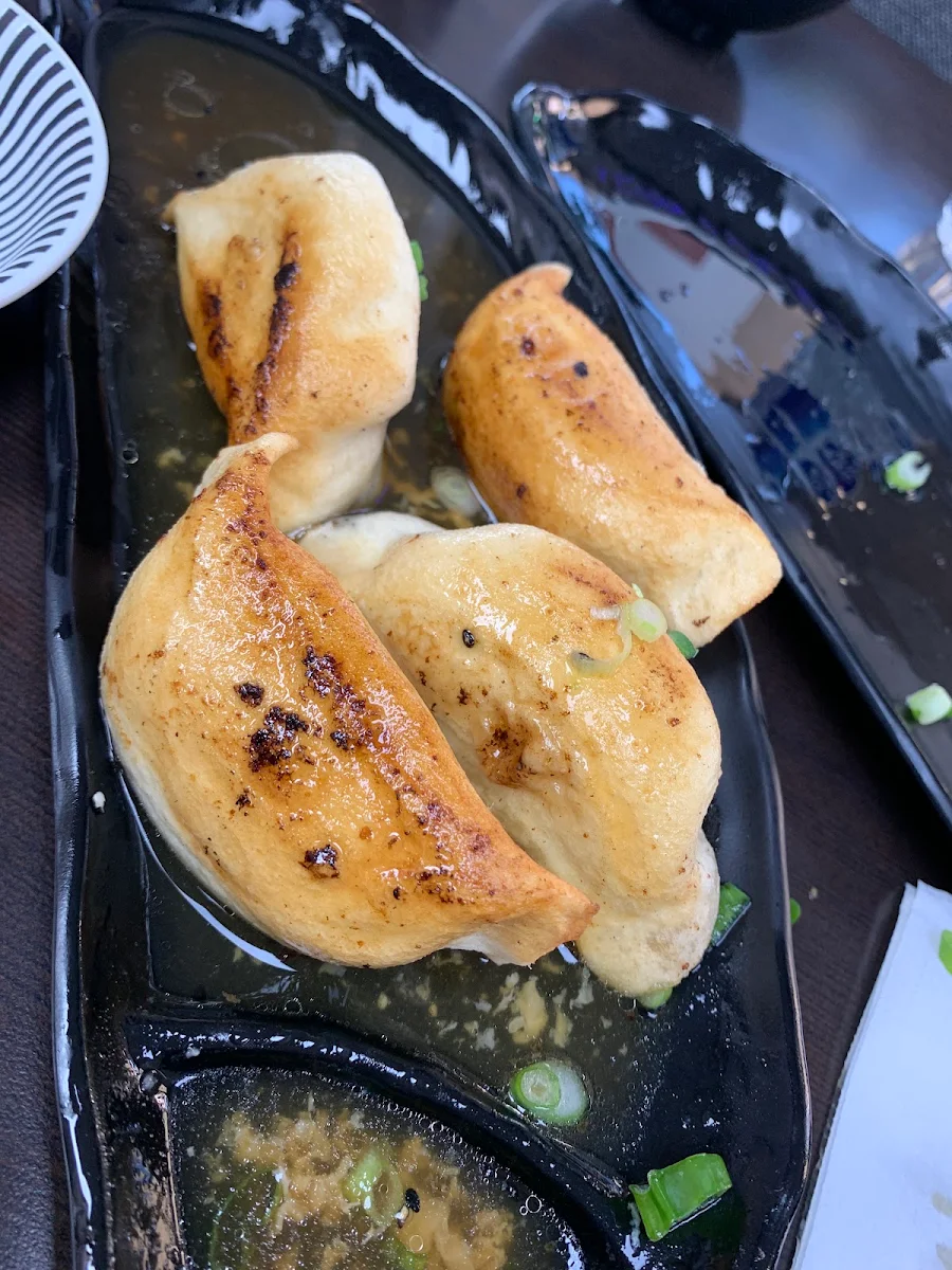 Pan-Fried Pork Dumplings