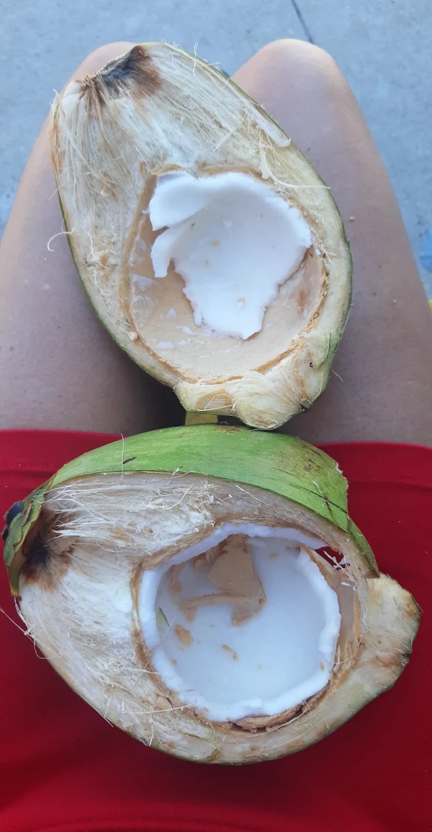 Fresh Cut Coconut Water