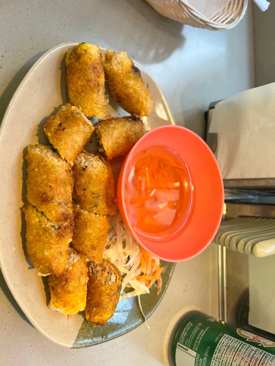 Vietnamese Spring Rolls