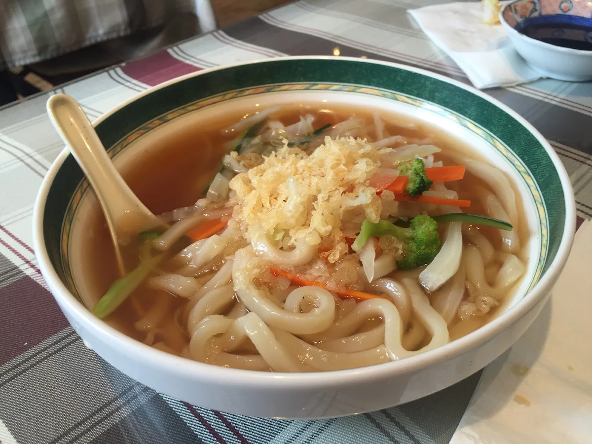 Udon Noodle Soup