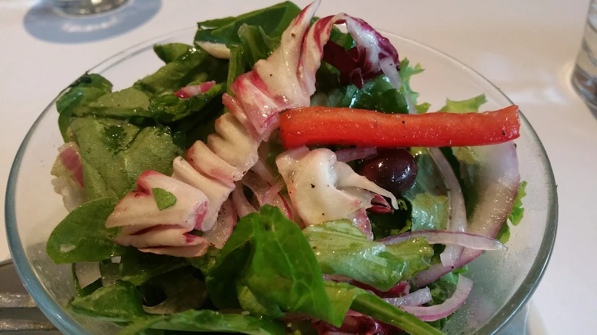 Octopus Salad