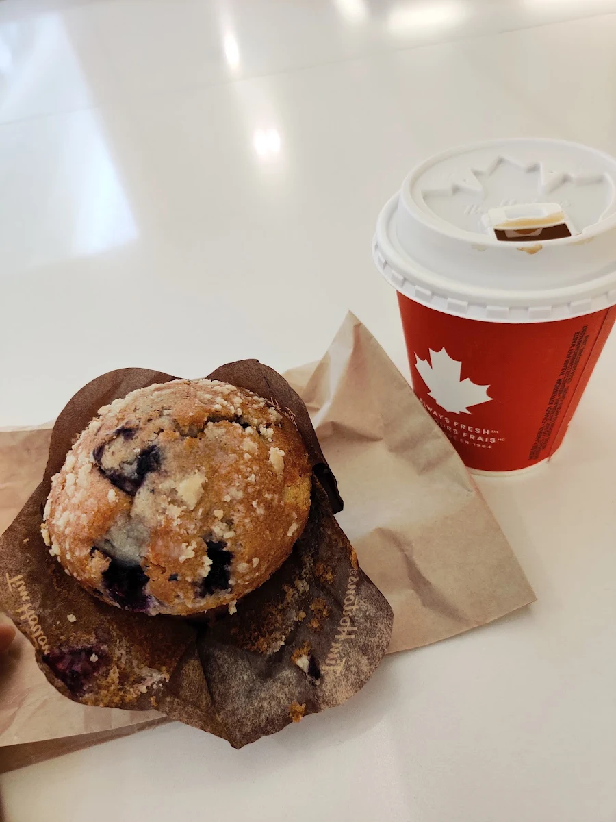 Blueberry Muffin