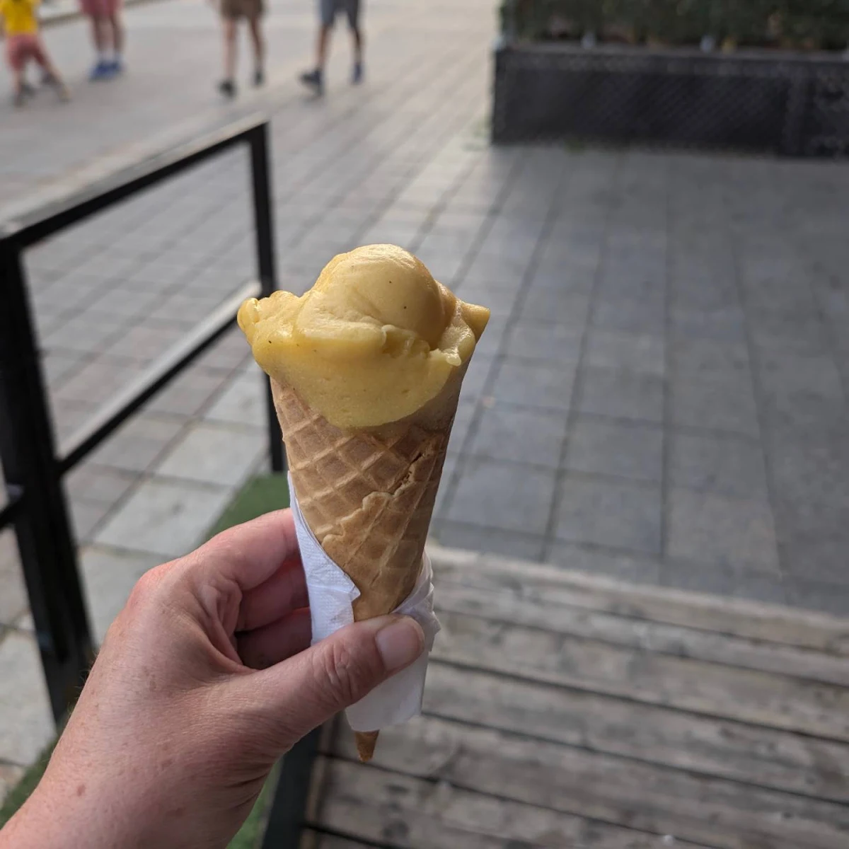 Mango and Strawberry Sorbet