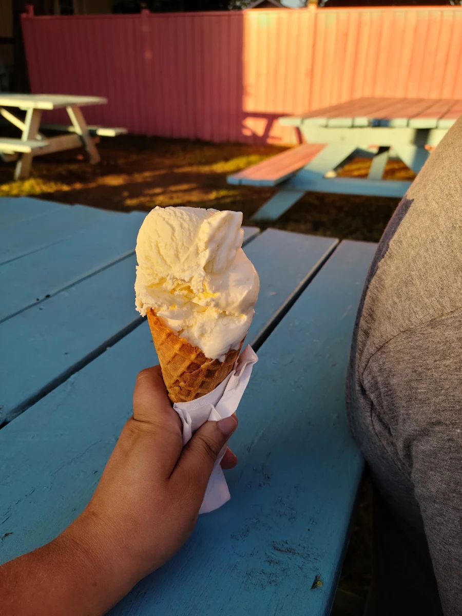 Vanilla Ice Cream