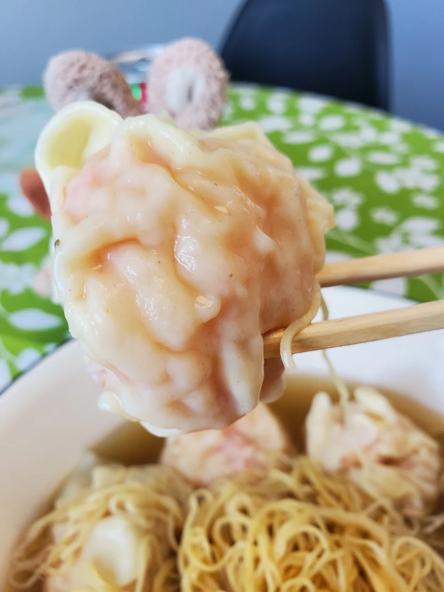 Wonton Egg Noodle Soup