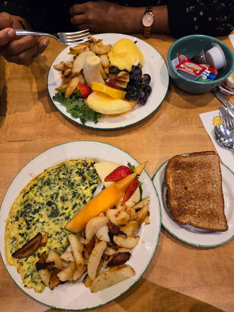 Early Bird Omelette