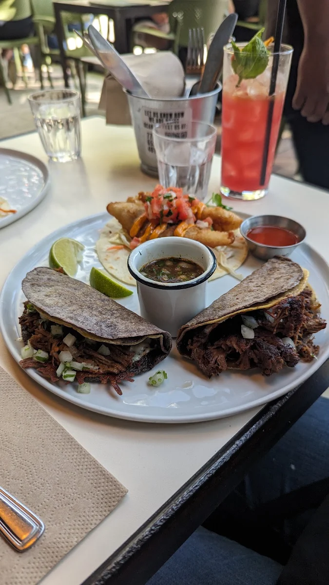 Birria Taco