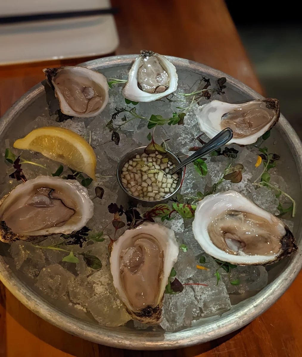 Fresh Oysters
