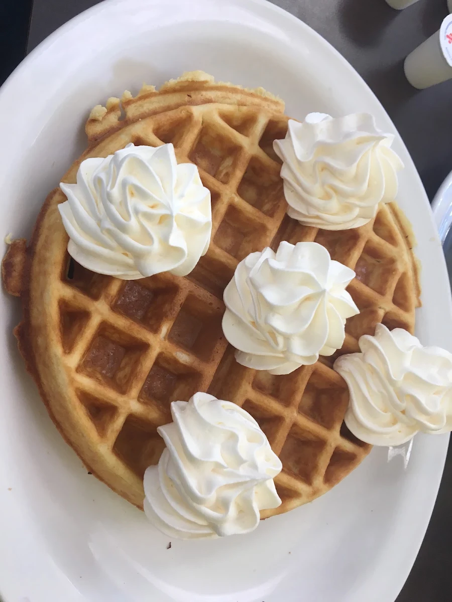 Belgium Waffle