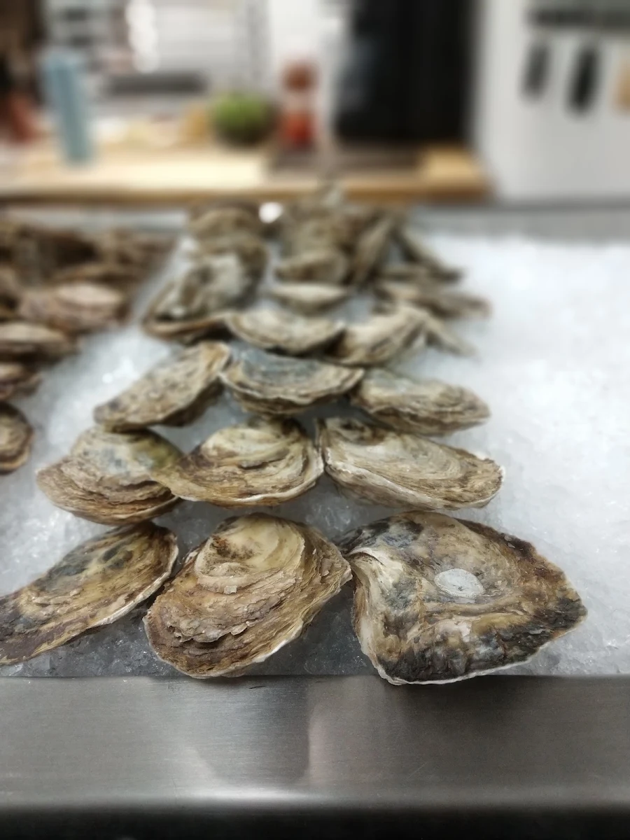 Fresh Oysters