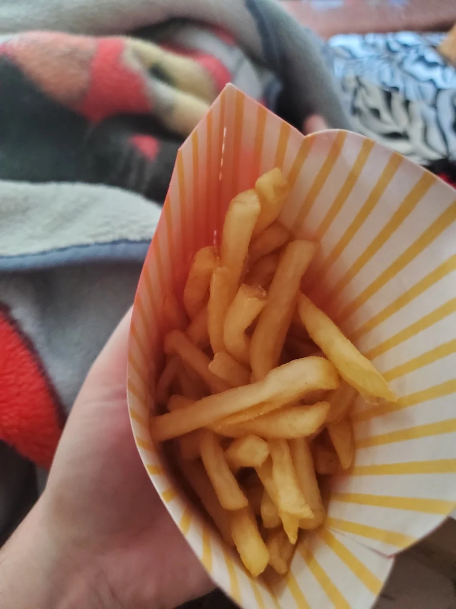 World Famous Fries – Small