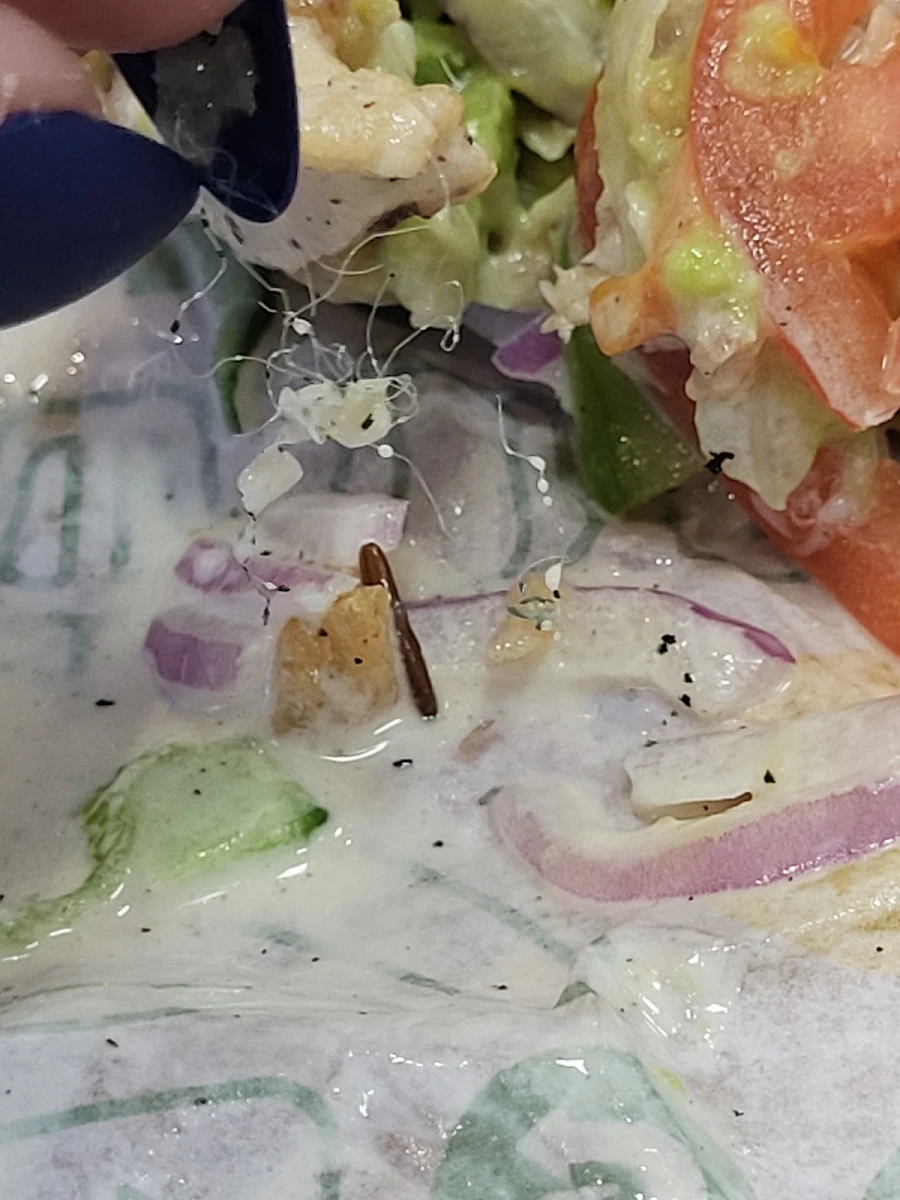 Sandwich Steak Fromage