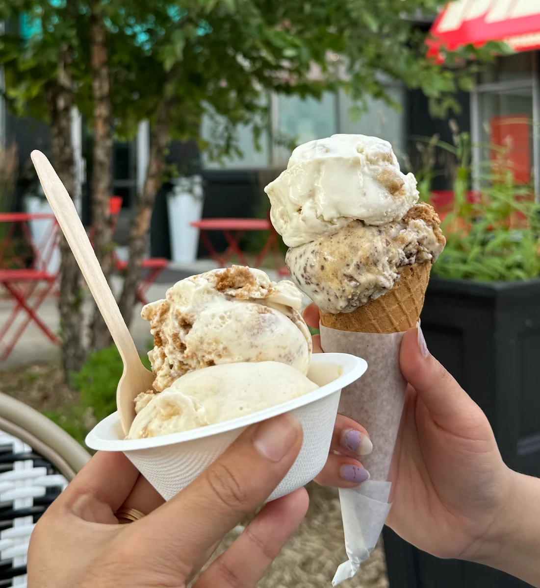 White Chocolate Dream