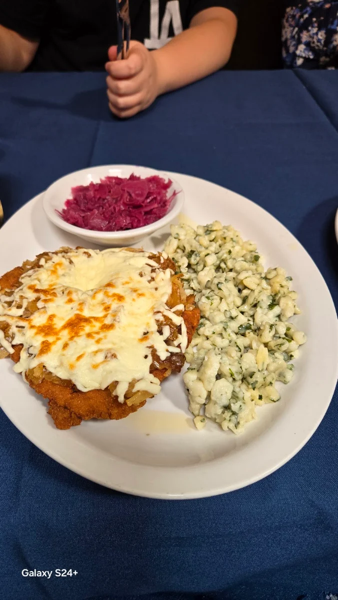 Spetzle with Hunter Schnitzel