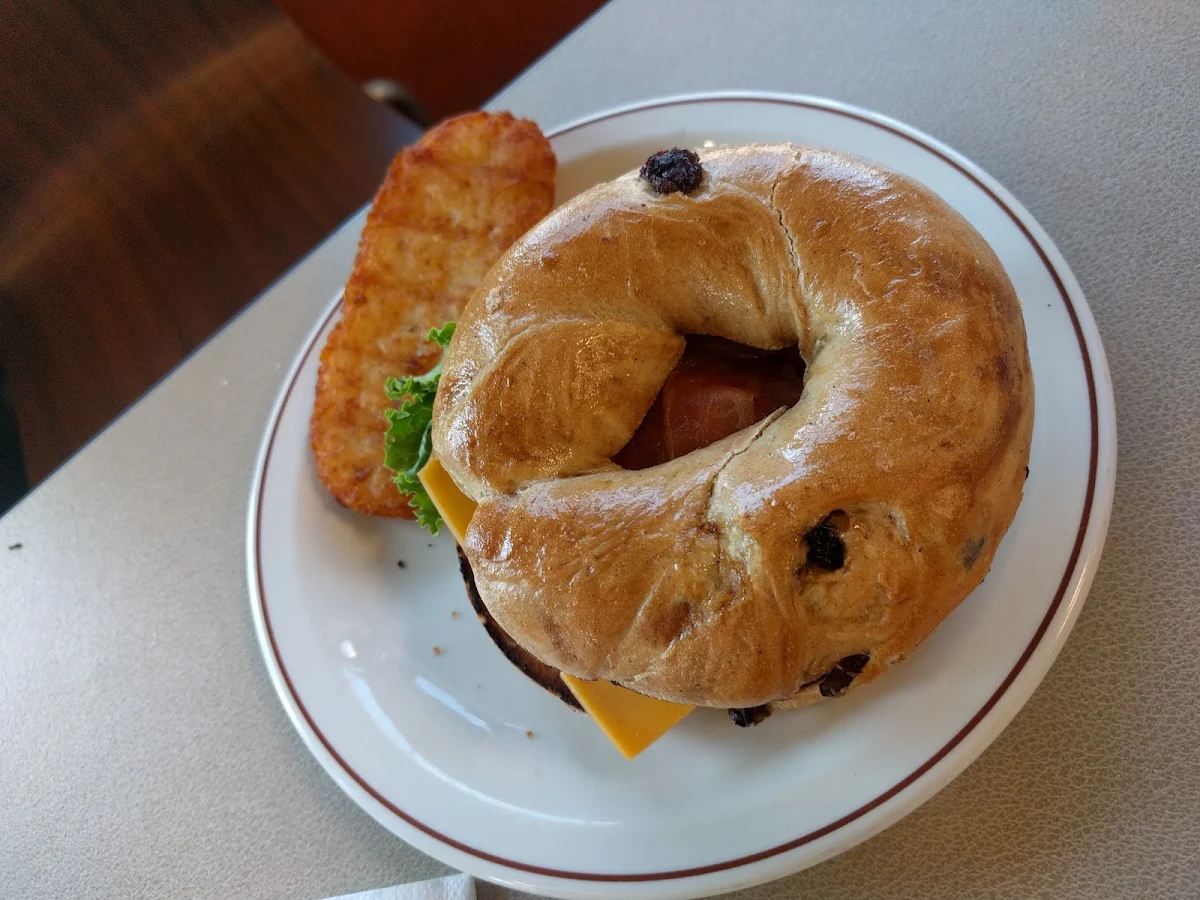 Plain Bagel