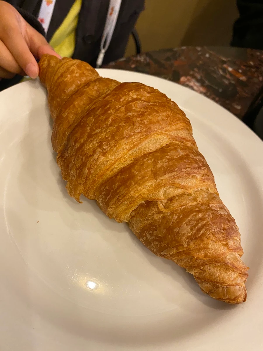 Plain Croissant