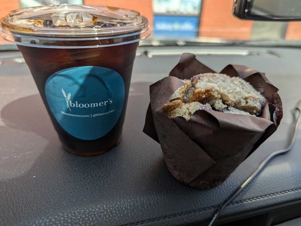 Gluten Free Blueberry Muffin