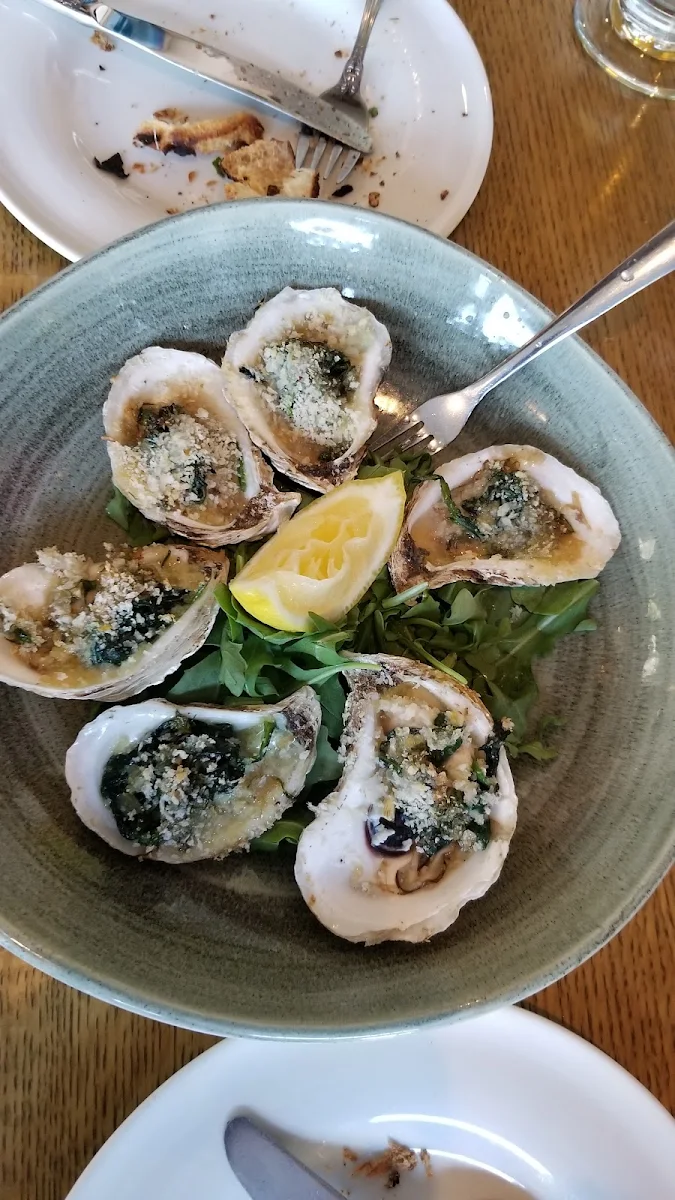 Fresh Oysters