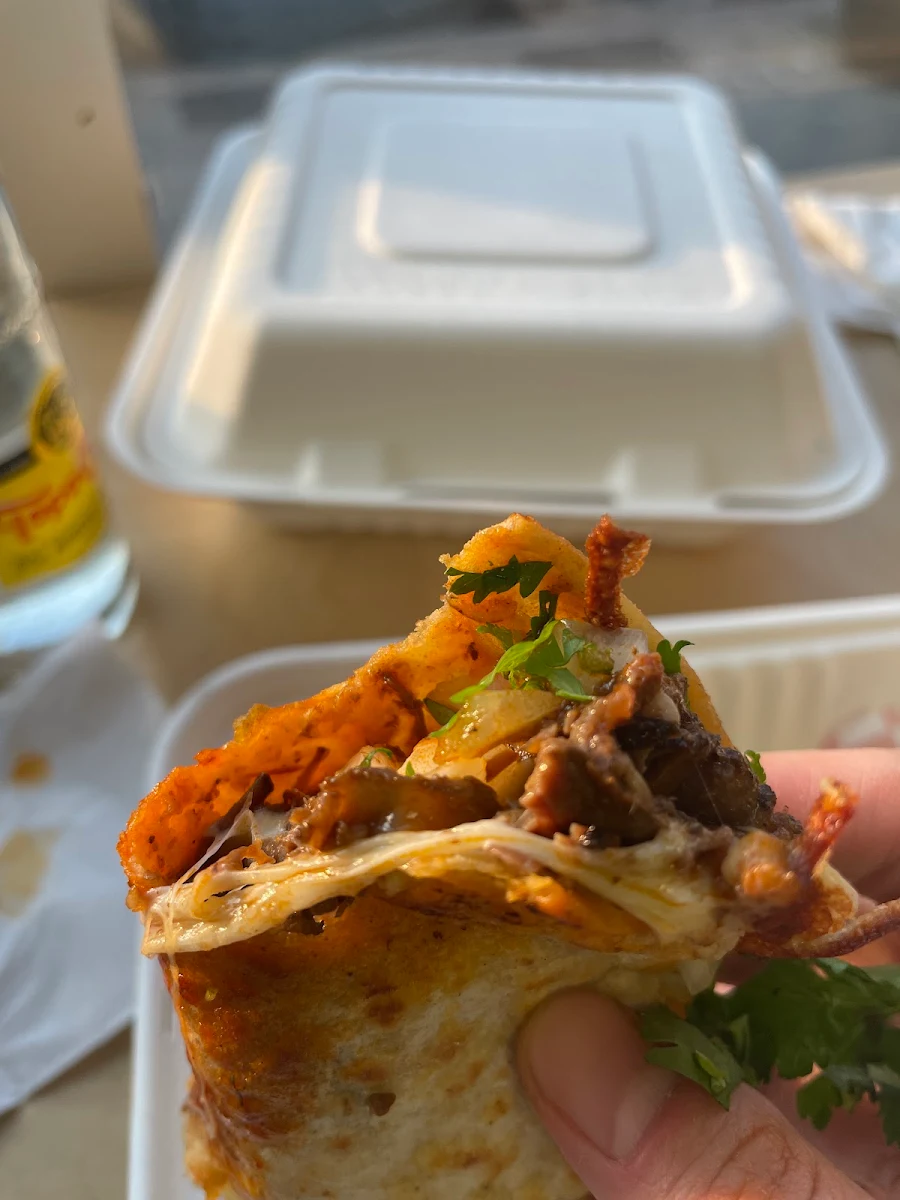 Birria Burrito