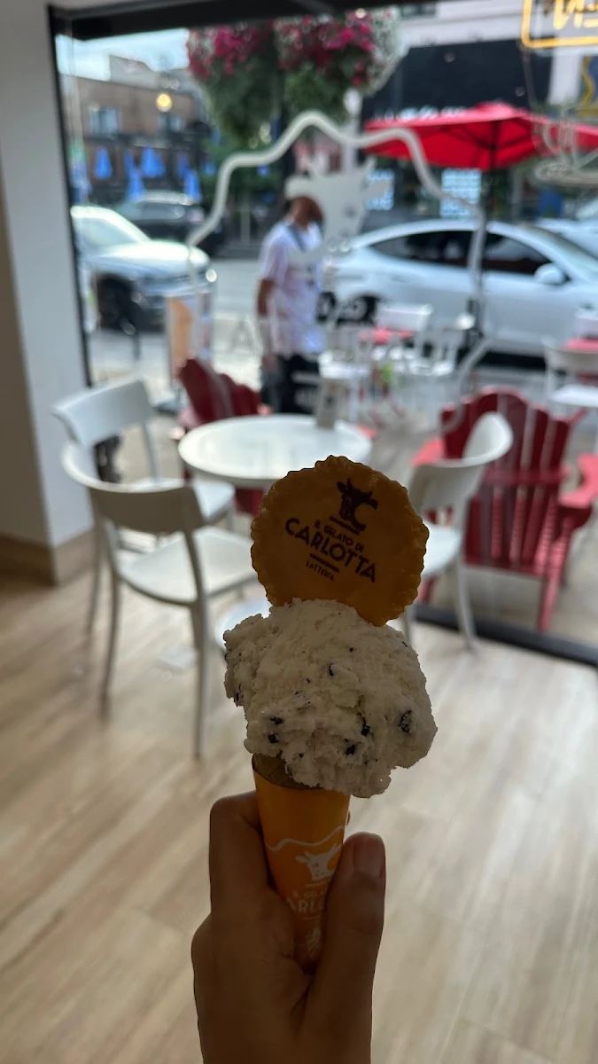 Chocolate Chip