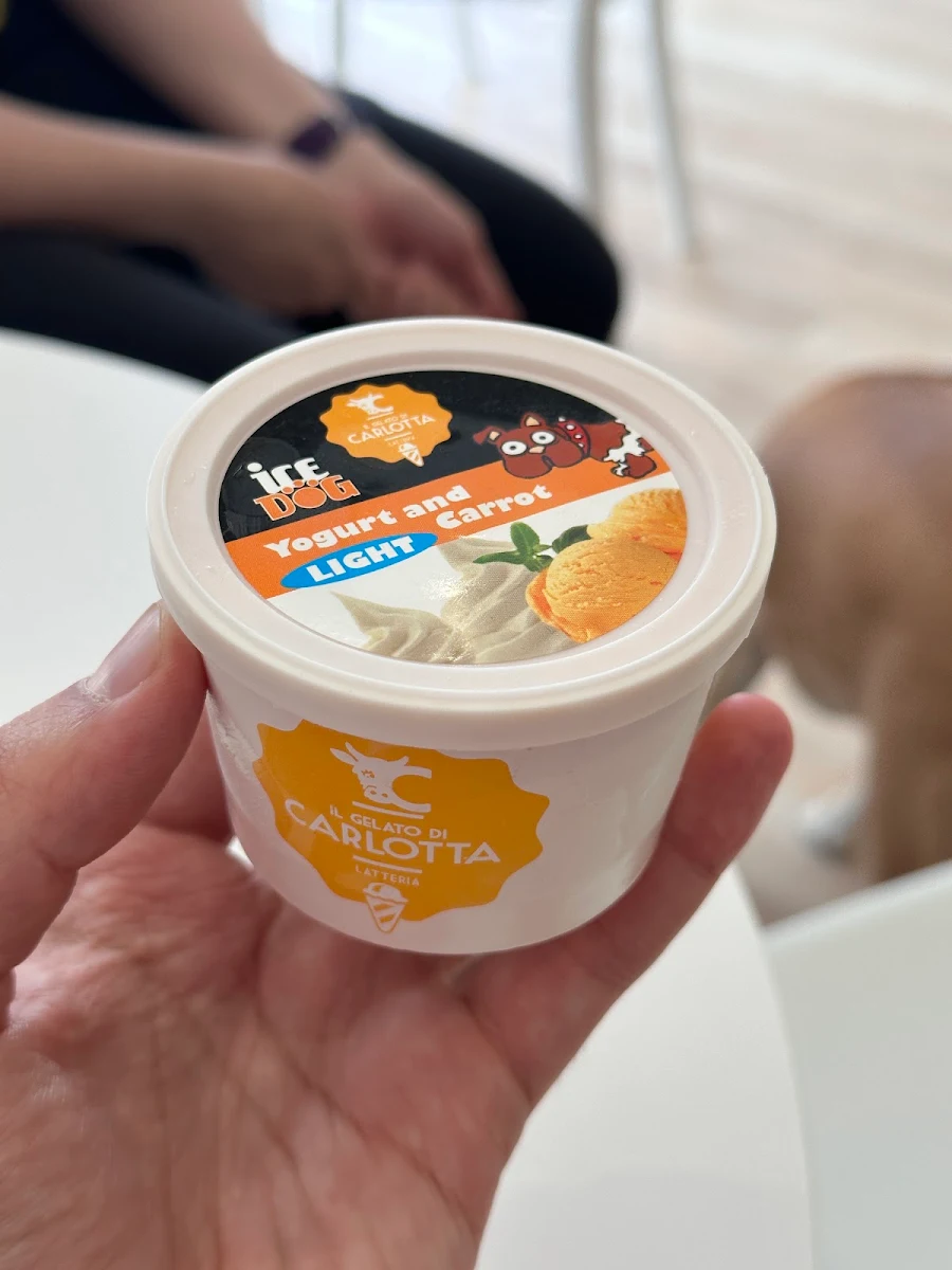 Dog Gelato