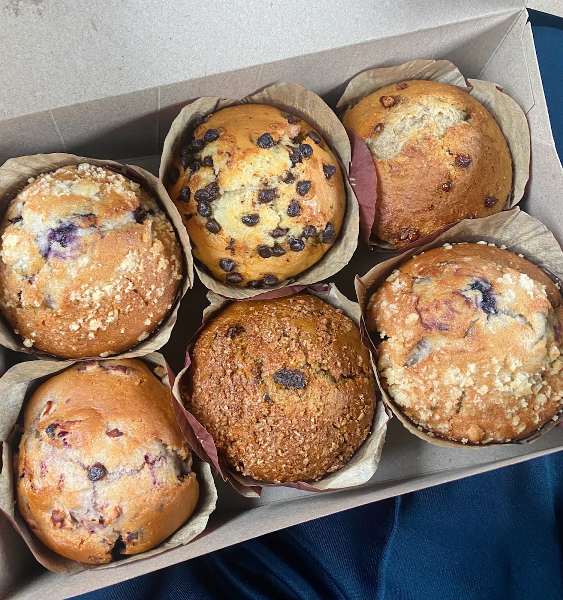 Assorted Muffins, Tim Hortons