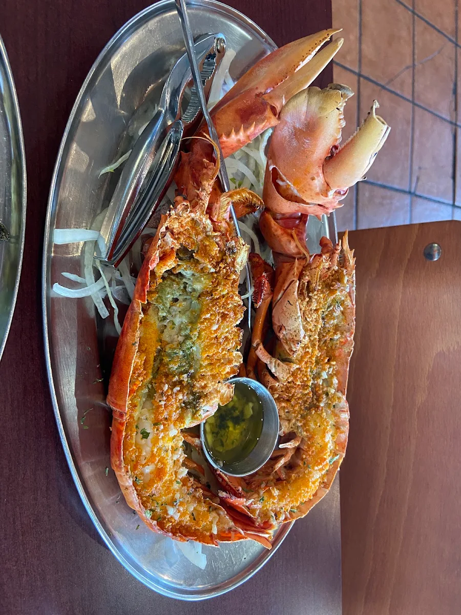 Lobster