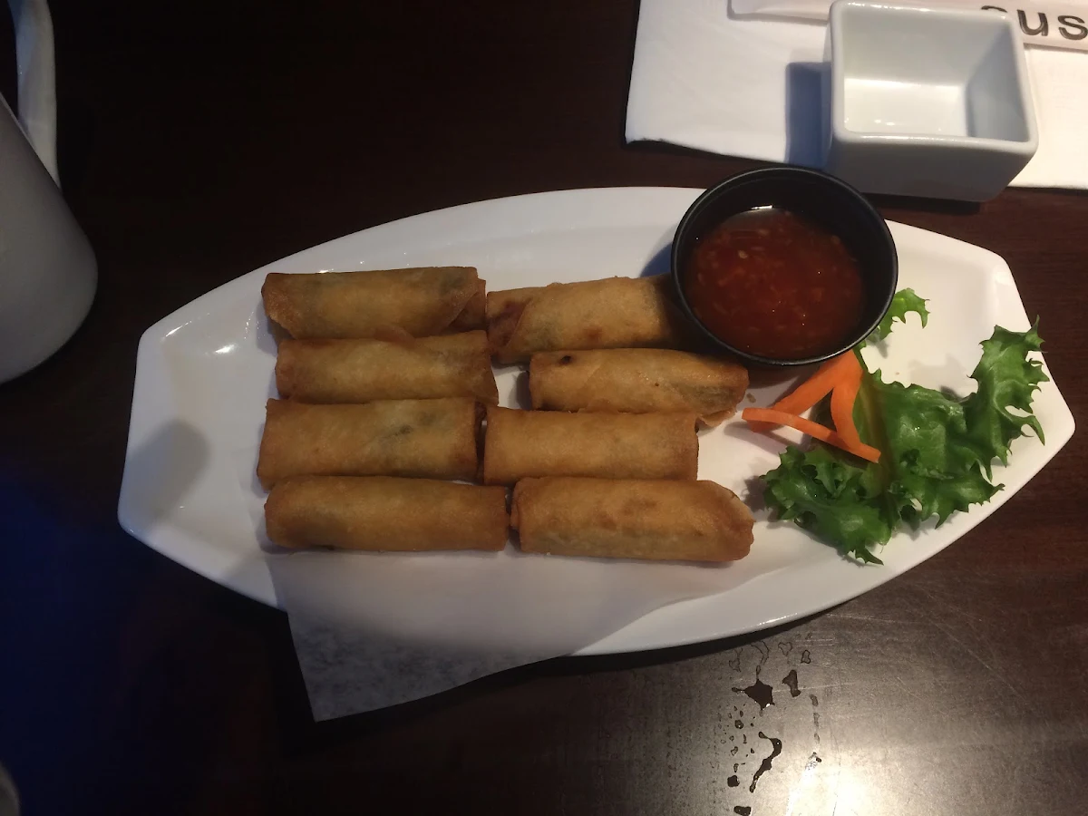 Spring Rolls, Sushico Japanese Restaurant