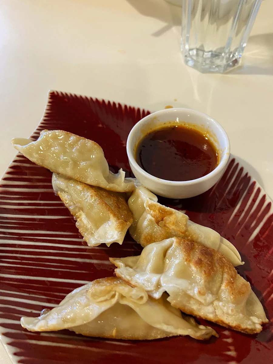 Pan Fried Dumplings