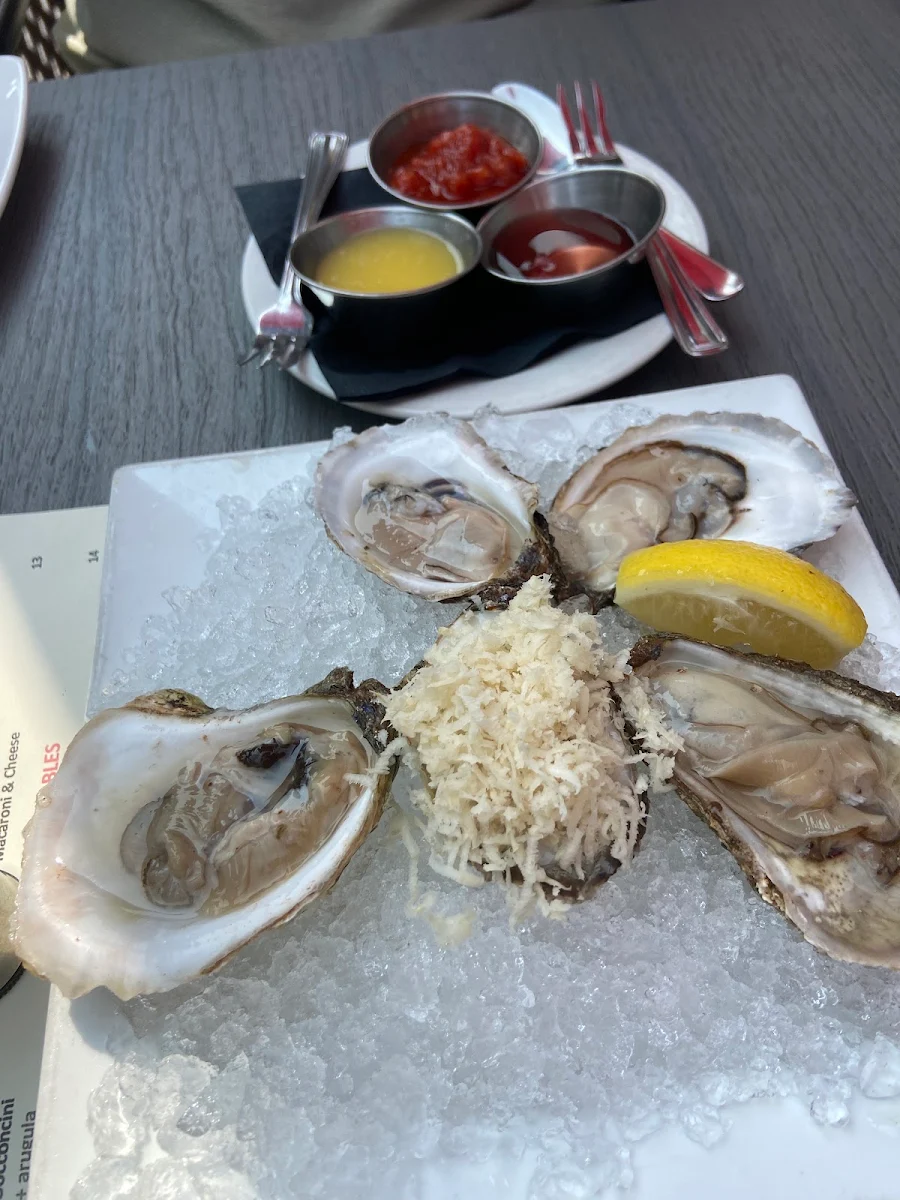 Daily Fresh Oysters