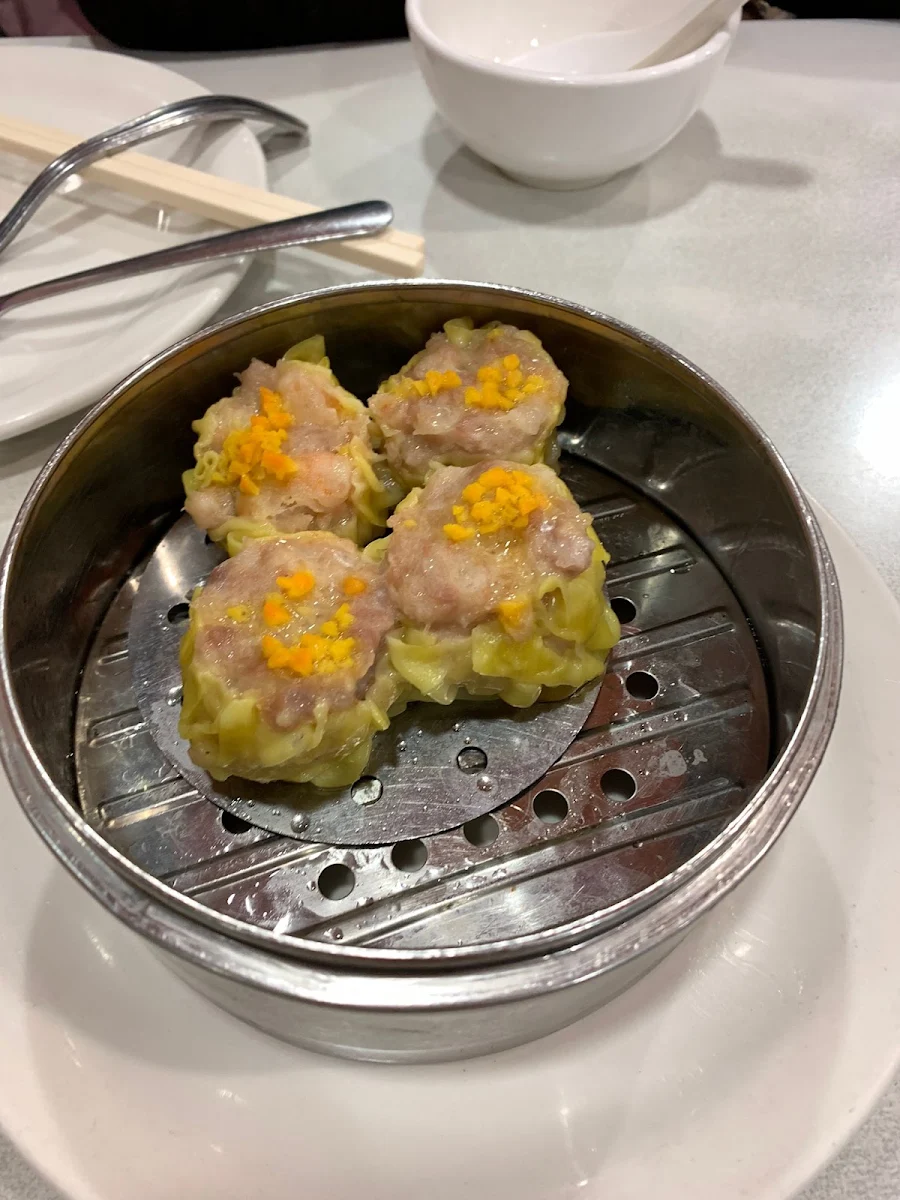 Pork Dumplings