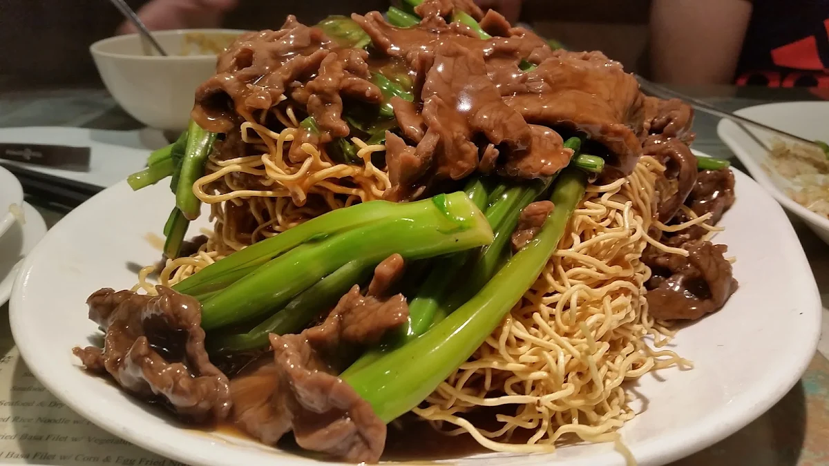 Beef Brisket and Vegetable Fried Noodle