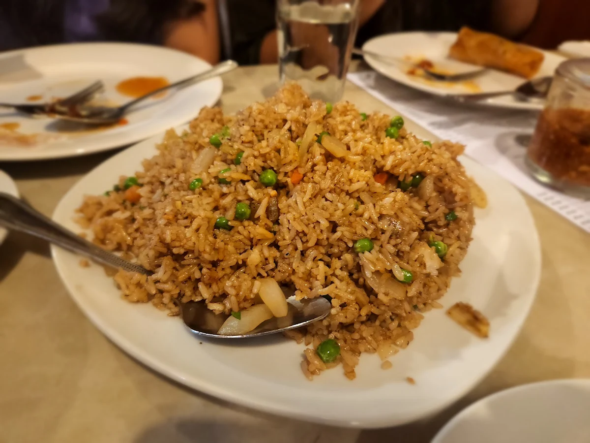 Manchurian Chicken Fried Rice