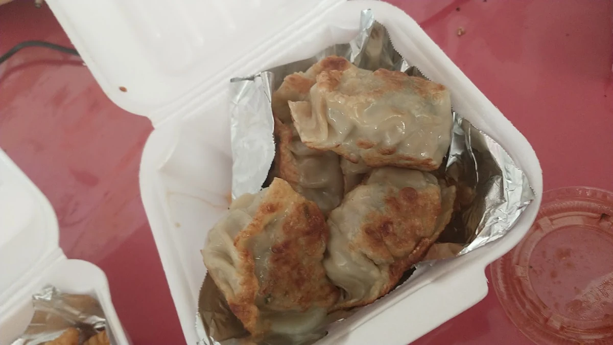 Pork Dumplings