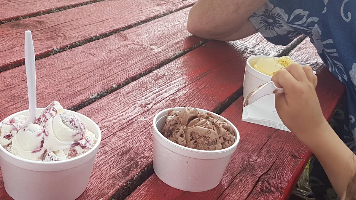 Raspberry Cheese Cake Chocolate and Banana Ice Cream