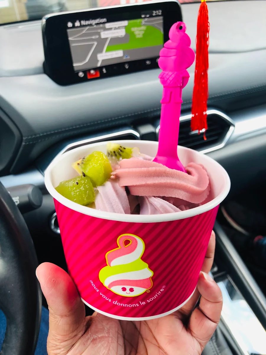 Medium Frozen Yogurt