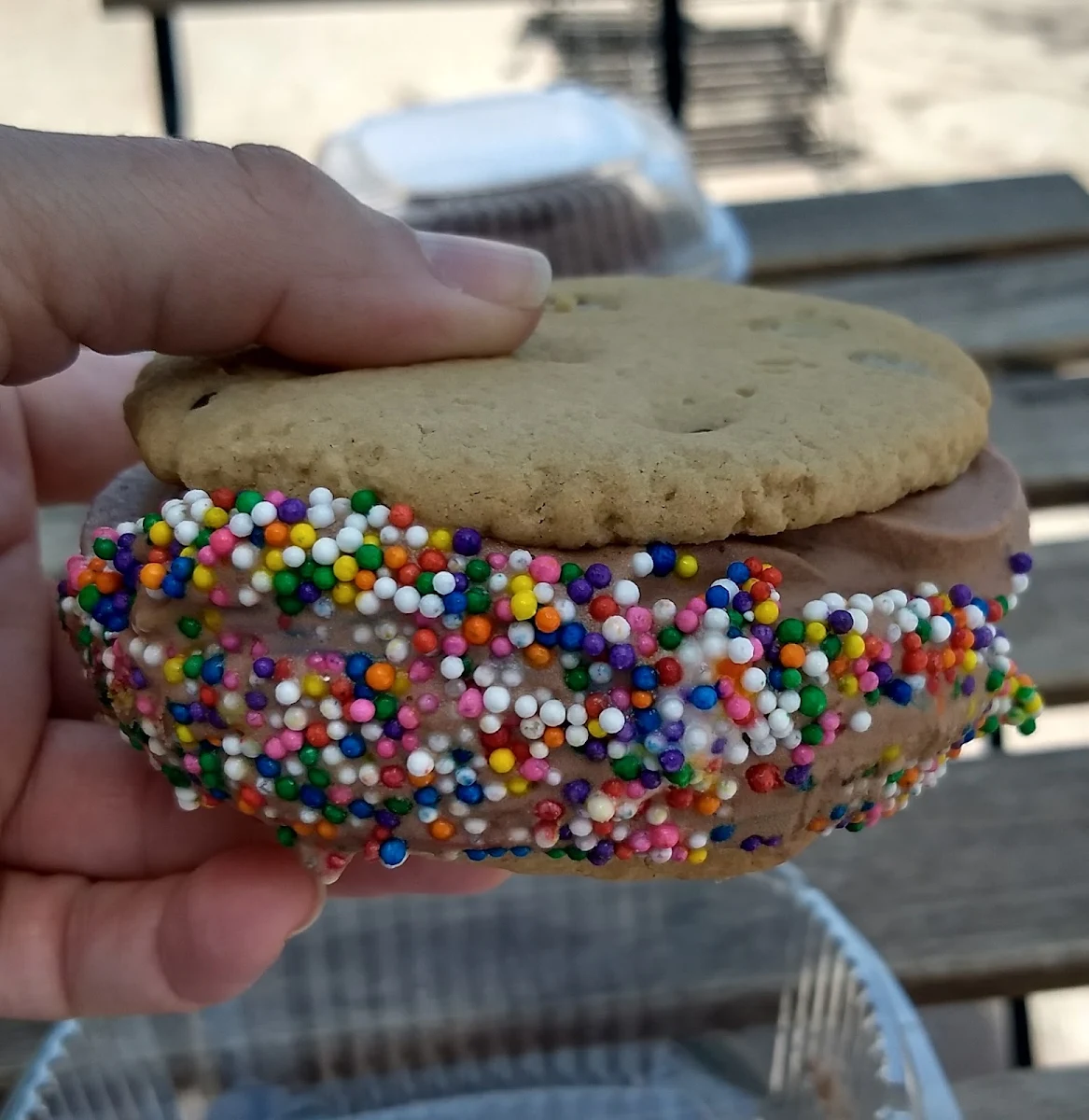 Gluten Free Dairy Free Ice Cream
