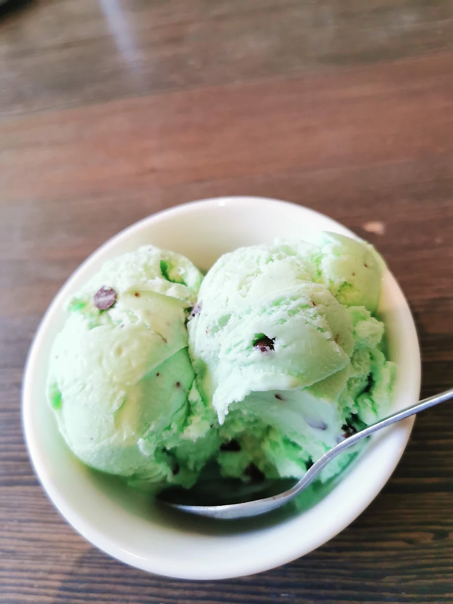 Mint Chocolate Chip Ice Cream
