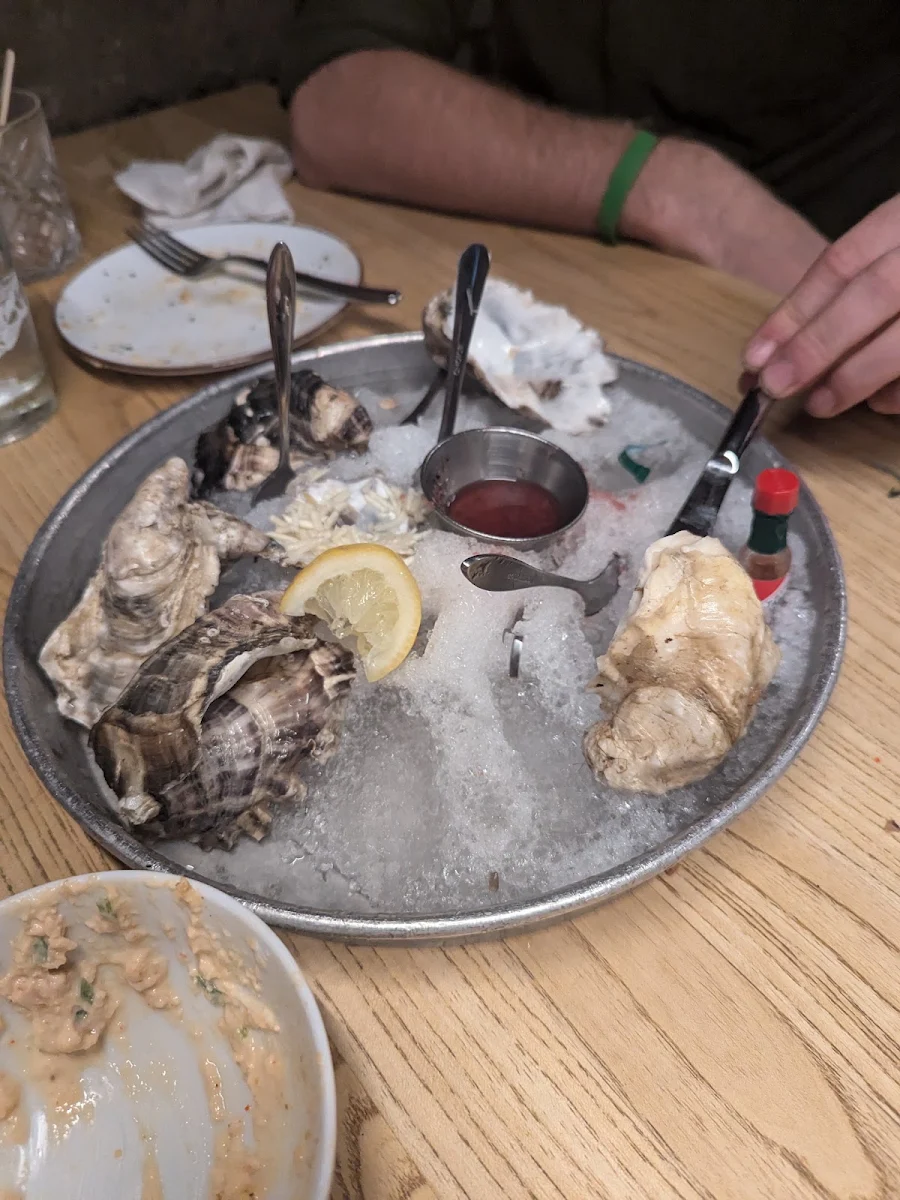 Fresh Oysters